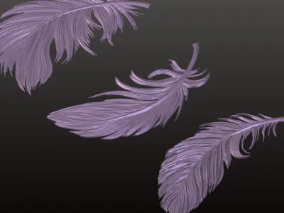 3D STL Feather Model CNC 3D Printing Engraving Wood Carving 3D print model