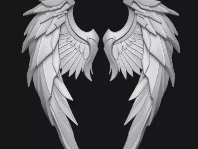 Wings 3D print model