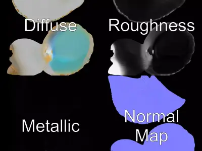 Serene Seashell Aquatic model pack Low-poly 3D model