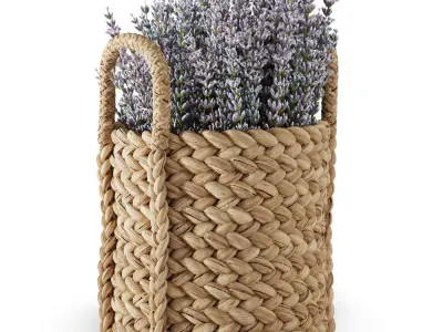Pottery Barn Beachcomber Baskets 01 3D model