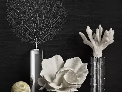 Coral Decor Set 3D model