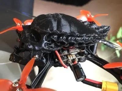 Babyhawk R Predator Alien Skull Drone Canopy 3D print model