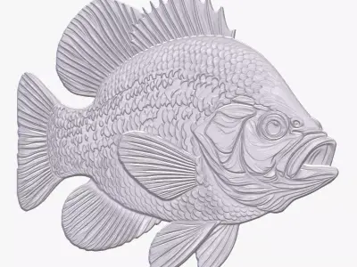 Crappie 1 basrelief for 3D printing 3D print model