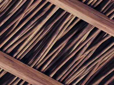 Ceiling thick branch crooked n1 3D model