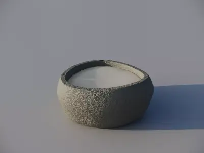 Bowl with wax 3D model