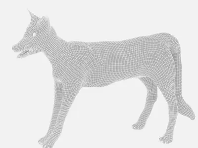 Red Fox Low-poly 3D model