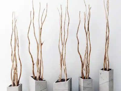 Branch decor vase slice n2 3D model