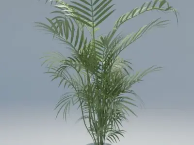 Low poly Floor plant 02 Free low-poly 3D model