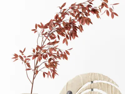 Decorative Set 10 3D model order