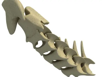 3D Animal Vertebrae 1 3D model