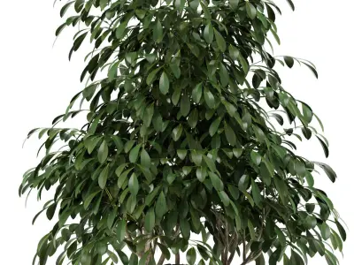 Plants collection 102 Awesomeplanters 3D model