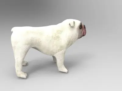 BullDog game ready low poly Model - Low-poly 3D model
