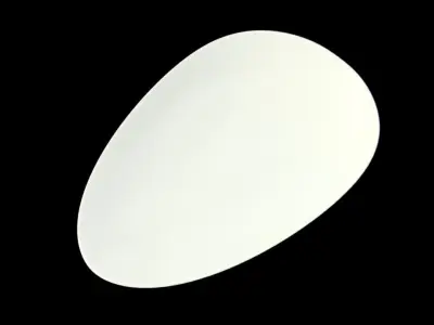 Egg shape plate 3D model