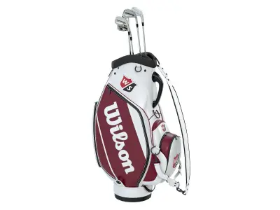 Wilson Golf Bag White Low-poly 3D model