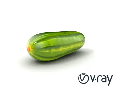 Fresh Cucumber Vegetable model pack Low-poly 3D model