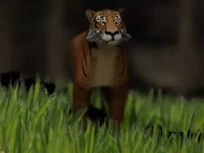 semi-realistic tiger 3d model Low-poly 3D model