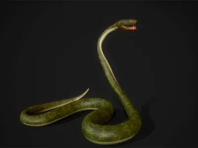 Boa - Game Ready three snakes Low-poly 3D model