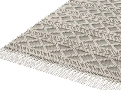 MiiiM Woven Rug 02 3D model