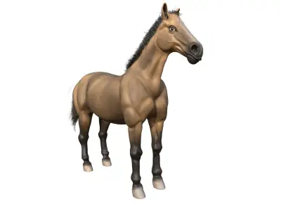 Horse 3D model 30