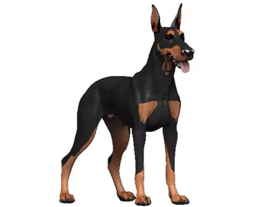 Doberman Low-poly 3D model