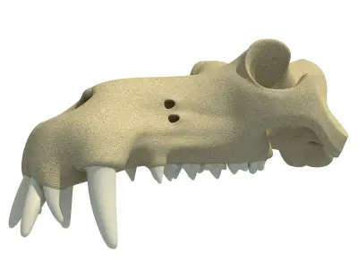3D Skull of Hippo 3D model