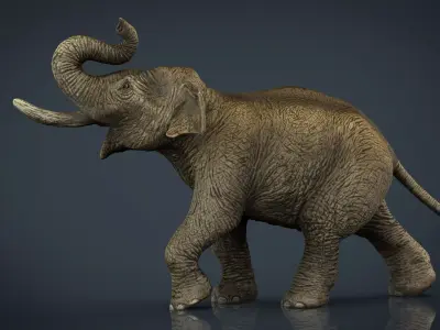 Asian Elephant Low-poly 3D model