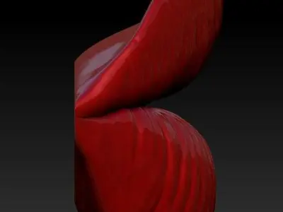 LIPS PUCKER DETAILED 3D print model