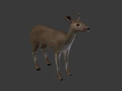 Roe Deer Doe - game model Low-poly 3D model