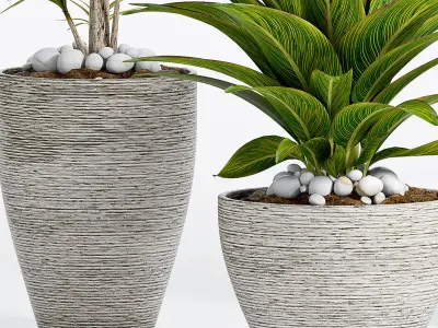  Decorative plant set-7 3D model