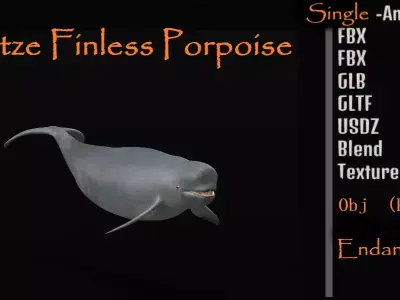 Yangtze Finless Porpoise Low-poly 3D model