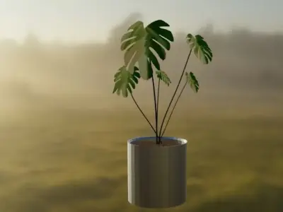 Luxury Monstera Indoor Plant 3D model