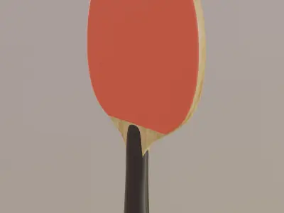 Table Tennis Bat 3D model