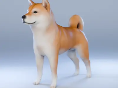 Dog Shiba Inu Animal 3D Model Low-poly 3D model