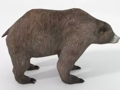 Grizzly bear Low-poly 3D model