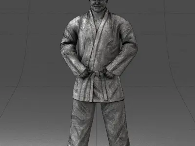 000089 Judo Fighter 1105 3dp 3D print model