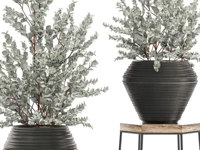 Eucalyptus bush in a flowerpot for interior design 535 3D model