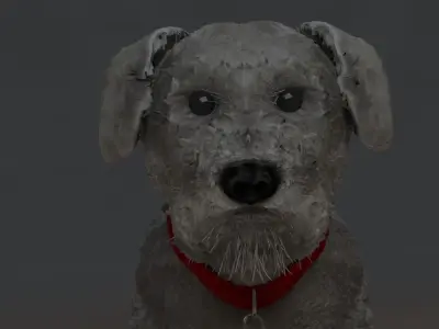 Miniature Schnauzer 3D model
