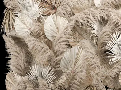 Wedding Decor Arch Wall Dried Flowers Pampas Grass 3D model