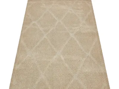 Rug Set 1910 3D model