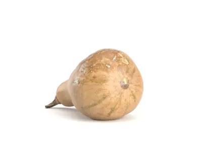 Decorative Pumpkin Gourd 2 3D model