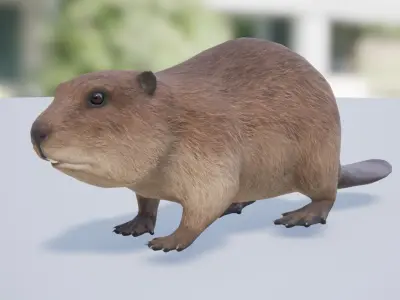 Pack of small animals Low-poly 3D model