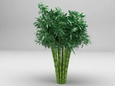 Bamboo plant 3D model