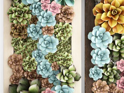 Echeveria Vertical garden 3D model