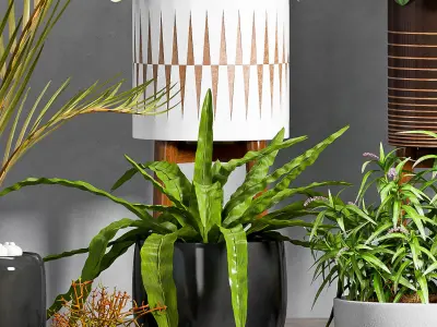 Decorative plant set-44 3D model