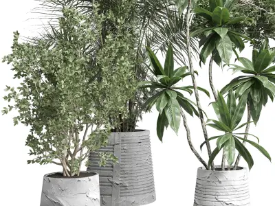 Indoor plant 461 concrete dirt vase plant palm fiucs tree pot 3D model