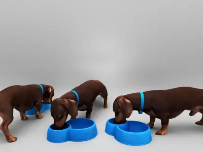 Dog with bowl 32 Low-poly 3D model