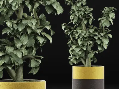 Plants Collection 119 3D model