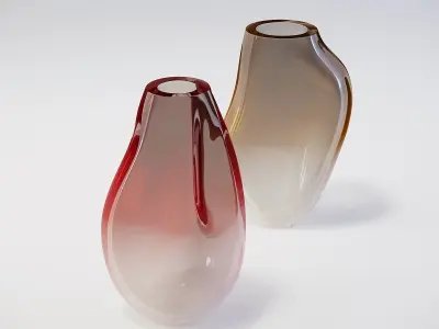 Accessories Collection two glass vases