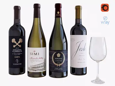 Wine bottle set 13 3D model