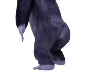 Cartoon Gorilla Animated blender Low-poly 3D model